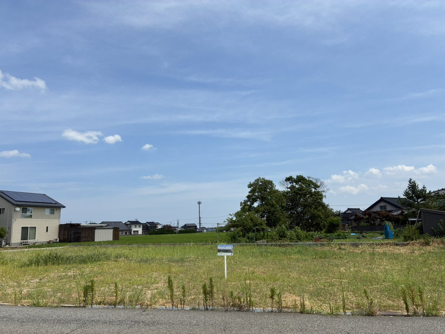 IMG_3174.jpeg