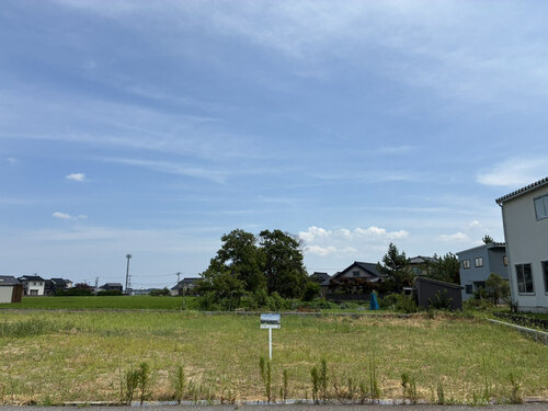 IMG_3168.jpeg